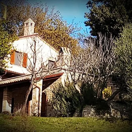 Il Piccolo Gioiello 펜션 Monsampietro Morico